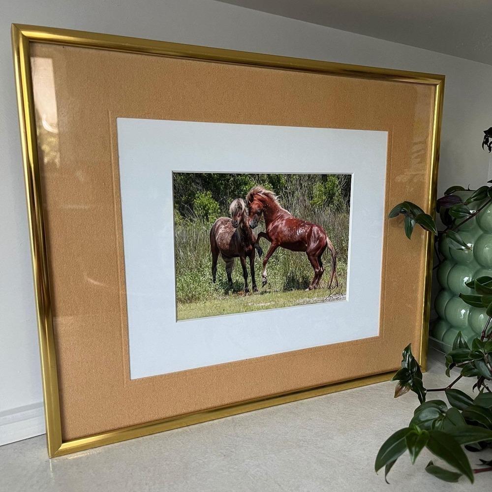 Framed Photograph Print Wild Horses Vintage Brass Frame Matted Equine Art